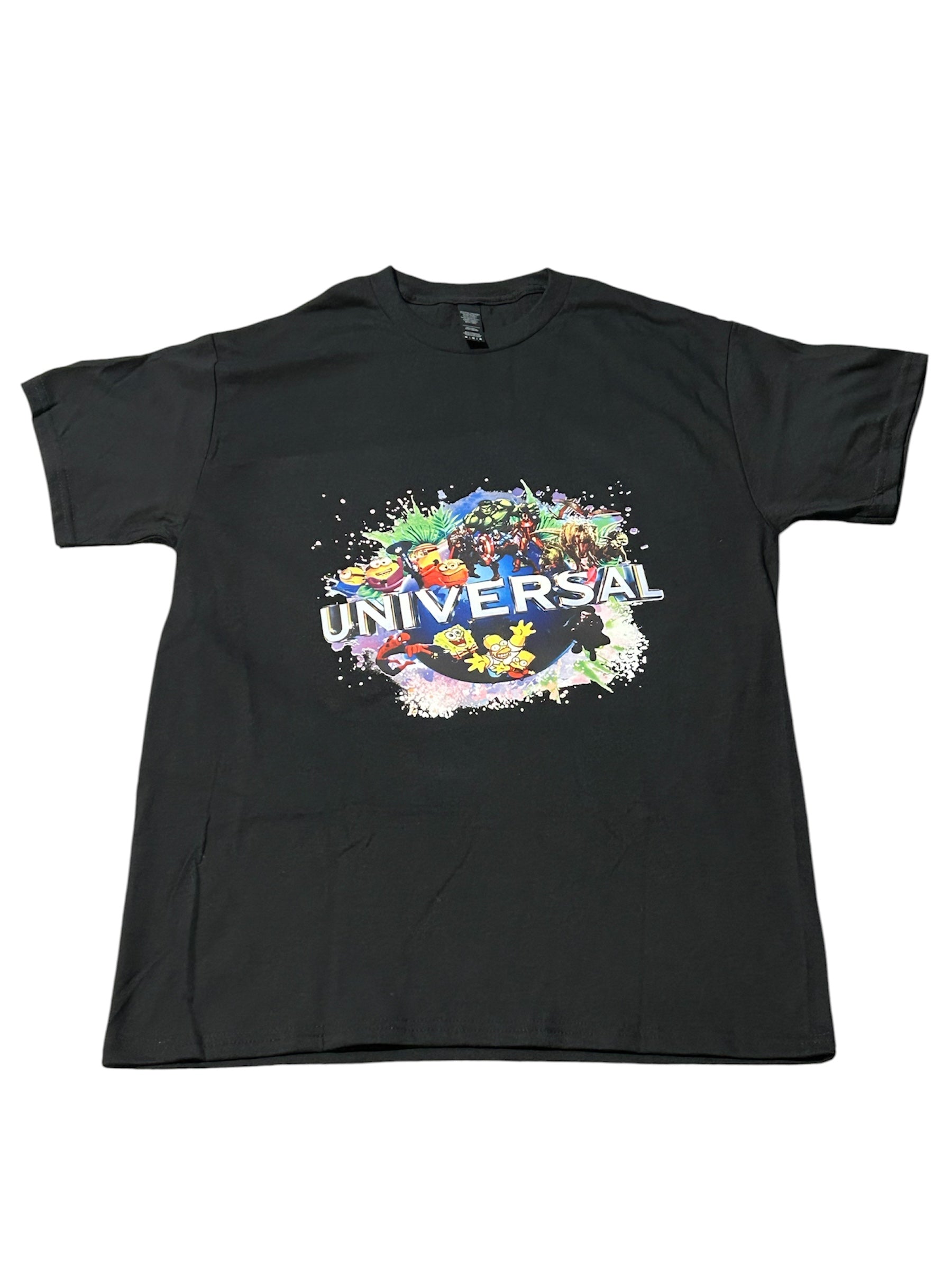 Universal Studios Park Design